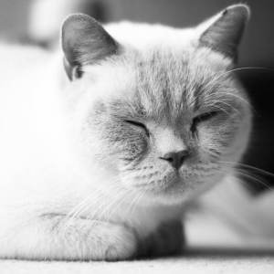 This is Winston #HelpMeWinston