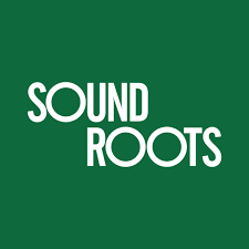 Sound Roots Program: Elevate Your Music Career in 2025